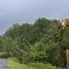 Arbres arrachés, routes coupées, panne d'électricité : après la chaleur et le feu, les orages frappent violemment le sud de la France