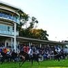 Courses hippiques de Nort-sur-Erdre : une journée de sport et de festivités le 10 août