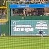 Horrifying moment MLB fan plunges from the stands and crashes onto field mid-game
