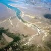 Sinkende Bestände: Studie: Wie verändert sich das Wattenmeer?