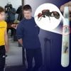 Rechter leest vonnis over ‘mierenbende’ voor: “Dit gaat verder dan een hobby”