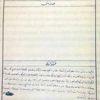 YAVUZ DONAT / Zafer haftası