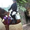 Deense vrouw schenkt pony van dochter aan dierentuin als voer voor leeuwen