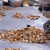 La mairie de Paris ne veut plus avoir à ramasser 4 à 5 millions de mégots chaque jour