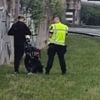 Politie haalt dronken man op fatbike van de A10 in Amsterdam