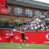 Tennis : les femmes de retour au Queen's, après un demi-siècle d'absence