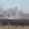 En pleine moisson, un feu ravage un champ dans les Côtes-d’Armor : l’incendie est toujours en cours