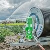 Boeren smeken om regen: vooral deze groenten dreigen hard te worden getroffen