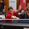 Tennis de table. Pro A : Le Mans valide son maintien avec brio
