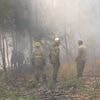 Vierde dode door natuurbranden Portugal: brandweerman overlijdt aan verwondingen