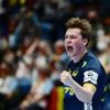 Handball-Bundesliga: Füchse-Spieler Chrintz mit drittem Kreuzbandriss
