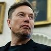 Reaktion auf Trumps Drohung: Musk droht Trump mit SpaceX-Ende und Epstein-Akten - und rudert dann zurück