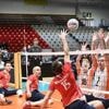 Caen va accueillir la Silver Nations League, une compétition européenne de volley assis