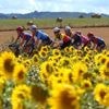 Live Tour | Dijkstra lost op eerste klimmetje, Vos aan de bak om geel te behouden
