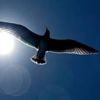 Jusqu’à 28°C attendus : quelles sont les prévisions météo pour ce week-end ?