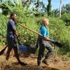 "L'ensemble de l'écosystème s'est écroulé" : comment Mayotte tente de reconstruire (aussi) sa biodiversité, six mois après le cyclone Chido