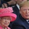 PRESIDENT DONALD TRUMP's extraordinary Daily Mail column on 'outstanding' King Charles and 'iconic' Queen Elizabeth, reprinted for second state visit
