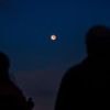 Totale Mondfinsternis : So spektakulär sah der Blutmond über Berlin und Brandenburg aus