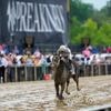 Favorite Margie's Intention handles the slop at Pimlico, wins the Black-Eyed Susan