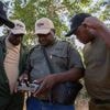 Zimbabwe is full of elephants and conflict with villagers is growing. A new approach hopes to help