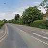 Two teenagers are arrested after pair of kittens 'were tortured and killed' during 'incredibly distressing' attack