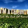 Legendary I'm A Celeb winner and iconic TV star who lasted 72 HOURS on the 'brink of All Stars comeback' as second season heads to South Africa