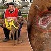 See the shocking photos that led to top greyhound trainer being charged with a staggering 26 alleged offences