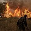 The cities most vulnerable to climate disasters: Shocking report reveals the urban areas set to be battered by deadly infernos and flooding