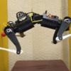 Roboterhund erklimmt senkrechte Wände durch "Chimney Climbing"