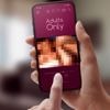 VPN-Nutzung steigt nach Rückzug von Pornoanbietern aus Frankreich