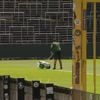 “Spelers zullen vieren in straten en cafés”: onze man aan het Dudenpark verwacht “voetbalromantiek” bij titel Union