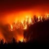 Feuer in den USA: Waldbrand bedroht Riesenmammutbäume in Kalifornien