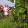 Caves, vignes et châteaux : dernière ligne droite pour s’inscrire à cette course réputée en Anjou