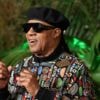 Stevie Wonder among gigs without planning permission