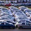 Neuzulassungen in Deutschland: Fast jedes fünfte neue Auto im Juli fährt elektrisch