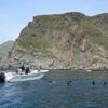 Mérous par centaines, dialogue avec les pêcheurs... La réserve marine de Banyuls-Cerbère, un "modèle à suivre" pour protéger la mer