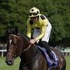 Robin Goodfellow's racing tips: Best bets for Tuesday, July 15