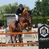 Équitation. CSI de Deauville : François-Xavier Boudant entre finesse et expérience