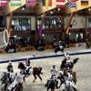 Horseball, dressage... Les poneys aussi ont leurs championnats d’Europe près du Mans