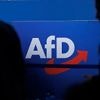 Nicht mehr nur Verdachtsfall: Verfassungsschutz stuft AfD als gesichert rechtsextremistisch ein