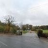 Woman in her 30s is killed by falling branch in park 'while walking with child'