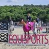 Équitation. Équisports de Montfort-sur-Meu : Nicolas Layec et Georgio Louvo ont le dernier mot