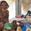 L'OMS a recensé plus de 400 000 cas de choléra dans le monde en 2025, le nombre de décès en hausse