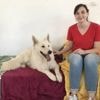 Glaces, donut’s, temps de sieste... Dans cette crèche pour chiens, on chouchoute les animaux