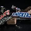 Bientôt du cacao génétiquement modifié dans les barres chocolatées ?