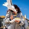 Beat the seagull bullies: How YOU can avoid being targeted by the feathered thugs menacing Britain's beaches stealing snacks and attacking dogs