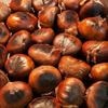 « Tirer les marrons du feu » : que signifie cette expression ?