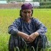 Kashmir's growing heat crisis hits health and harvests