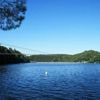 INFO OUEST-FRANCE. En plein test, la passerelle himalayenne du lac de Guerlédan s’affaisse et craque