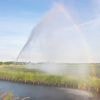 Waterschappen zetten zich schrap: gevolgen van droogte worden groter
